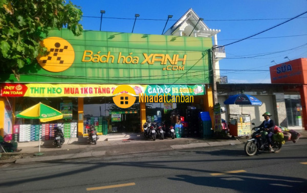 Bán nhà mt kd ful thổ,phan văn đối, bà điểm, hóc môn, 1203m2, ngang 15m, nở hậu, gần 40trm2